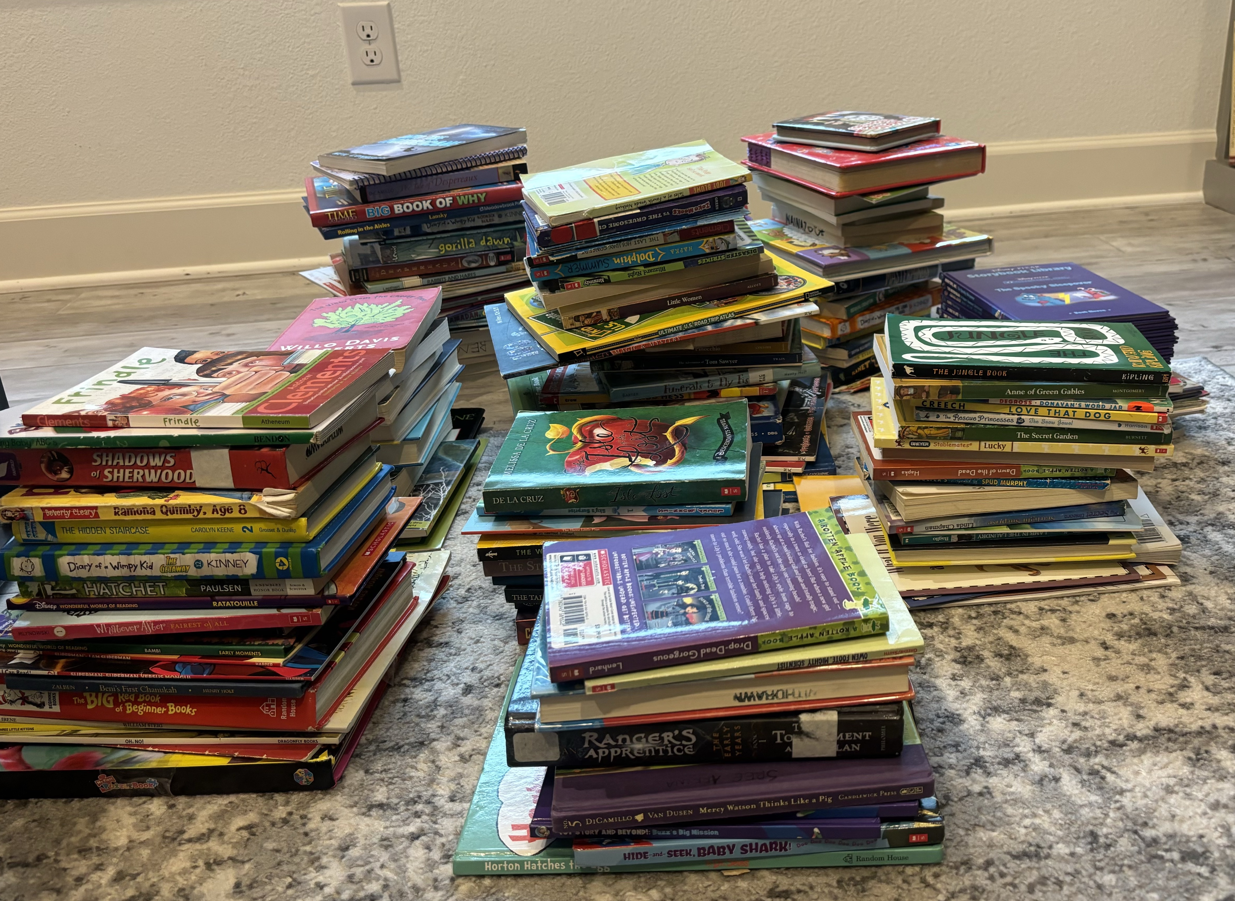 Stack of books collectes for the Cook Children's Book Drive